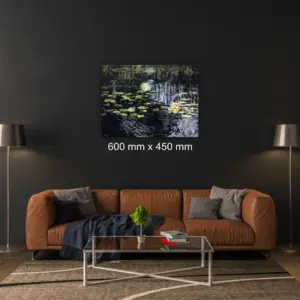 Julie Tugwell Art <br>Pezula Lily Pond 4<br>Oil on Stretched Canvas<br>600 mm x 450 mm