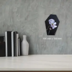 Julie Tugwell Art <br> Fine Art Flower <br> Oil on Board <br>100 mm x 150 mm