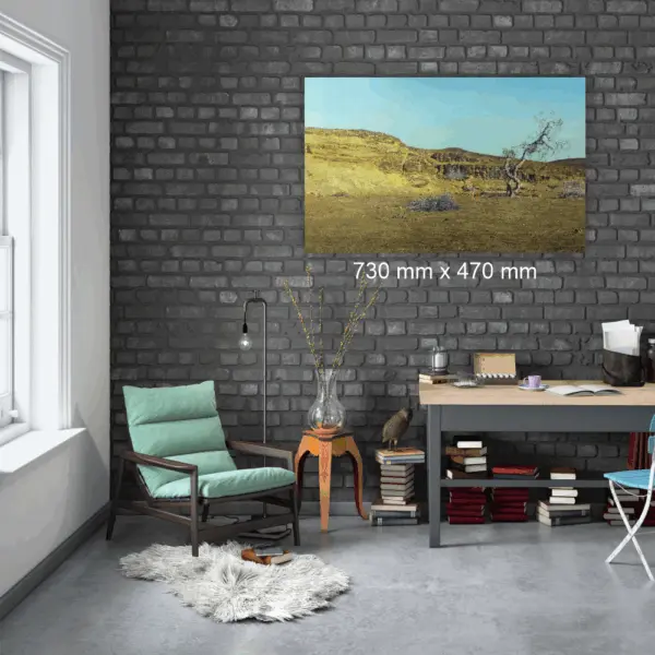 409 by James Mooney, 730 mm x 470 mm