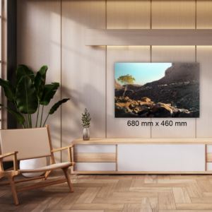 James Mooney <br>410 <br>680 mm x 460 mm