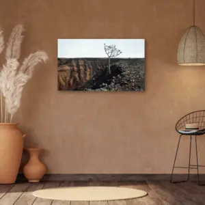 James Mooney<br>386<br> 720 mm x 430 mm