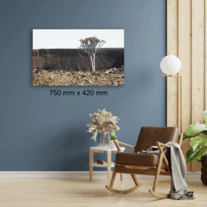 James Mooney <br> 387 <br> 750 mm x 420 mm