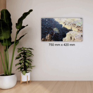 James Mooney <br>388<br>750 mm x 420 mm