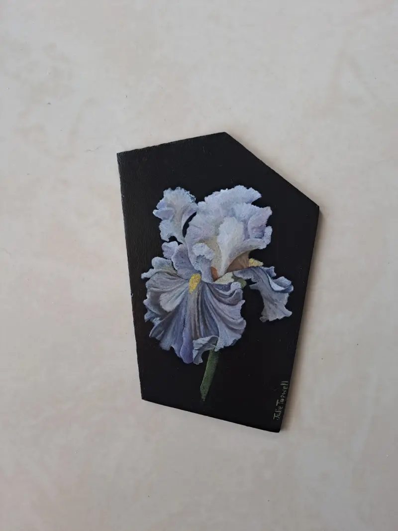 Iris 4 — painting by Julie Tugwell