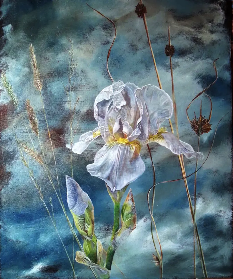 Dale iris — painting by Julie Tugwell