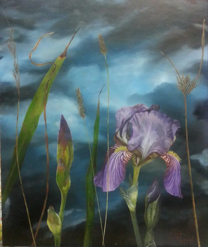 Purple Iris — painting by Julie Tugwell