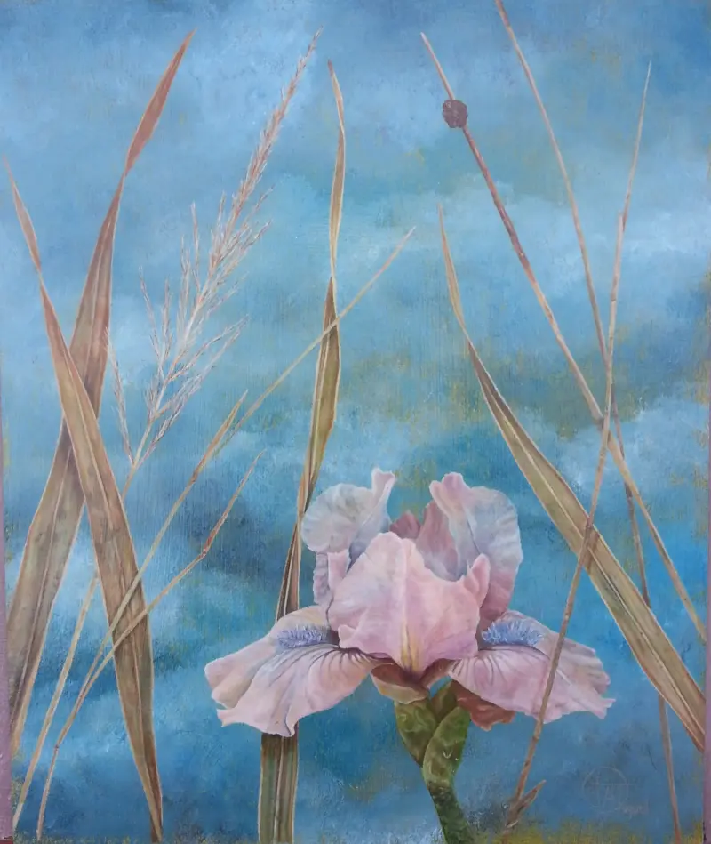PINK IRIS Flower small — painting by Julie Tugwell