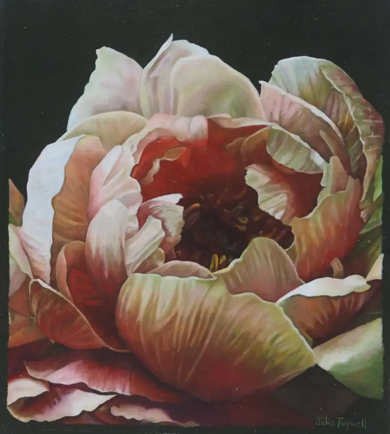 Like a Rose — painting by Julie Tugwell